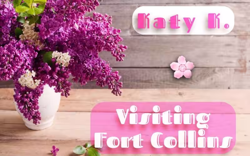 companion/Massage/S&M Katy in Bismarck, ND