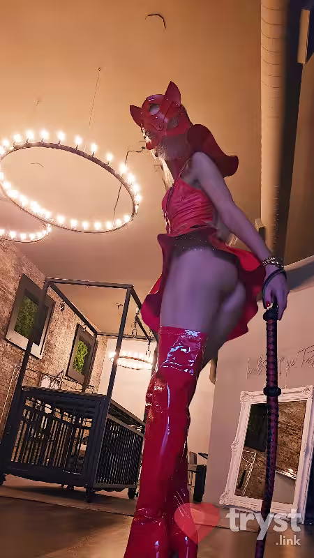 companion/Massage/S&M Natasha in Chicago, IL