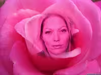 Escort/Massage/S&M Somer in Dallas, TX