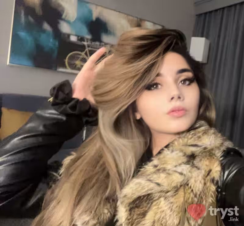 Escort Persia in Dallas, TX