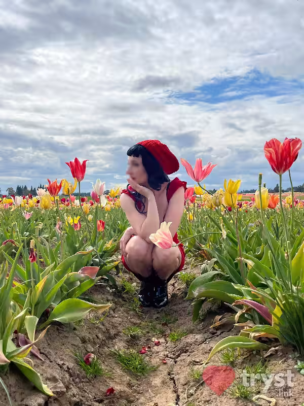 Escort/Massage/S&M Curiosity Rose Thorne in Denver, CO