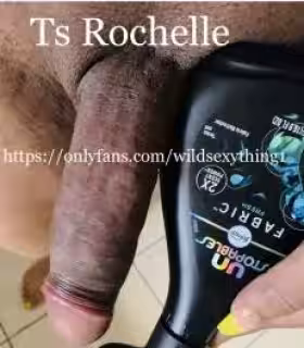 Escort TS Rochelle in Fort Lauderdale, FL