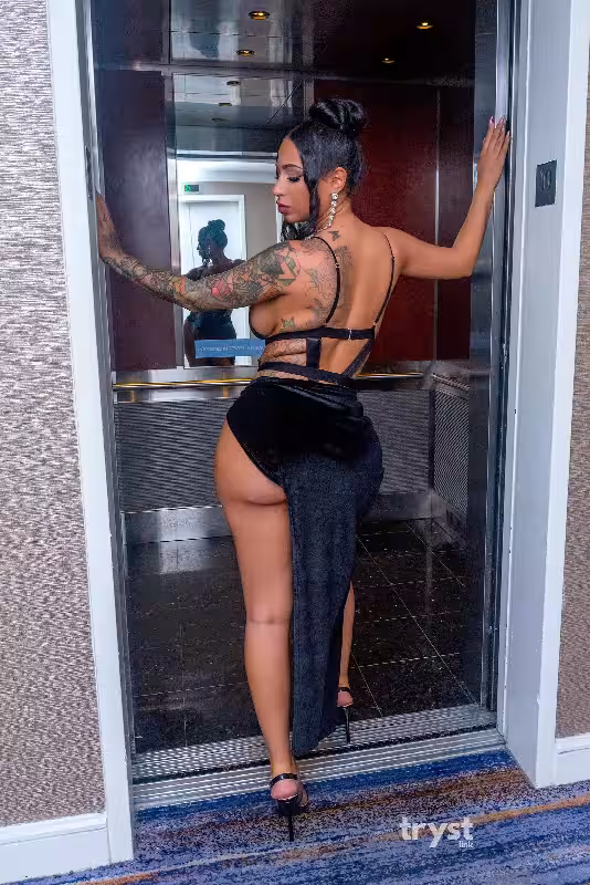 companion/Massage Amira Misari / Muneera Misaari in Miami, FL