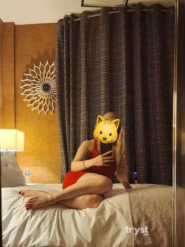 companion/Massage/S&M Addie / Arina in New York City - Manhattan, NY