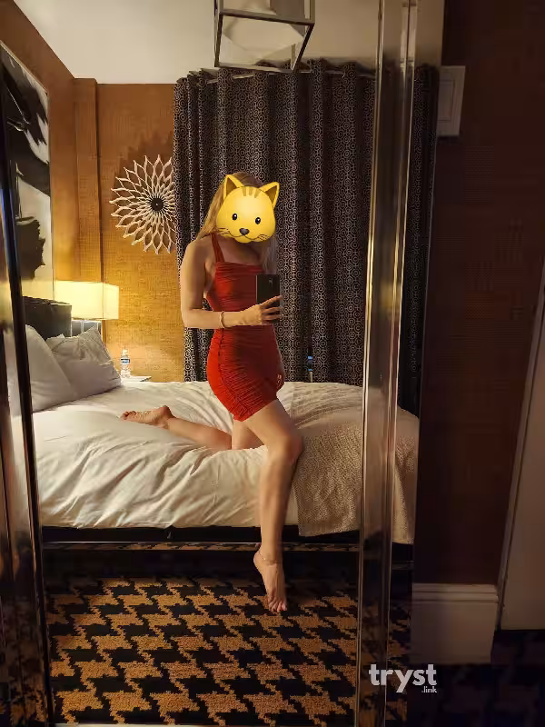 companion/Massage/S&M Addie / Arina in New York City - Manhattan, NY