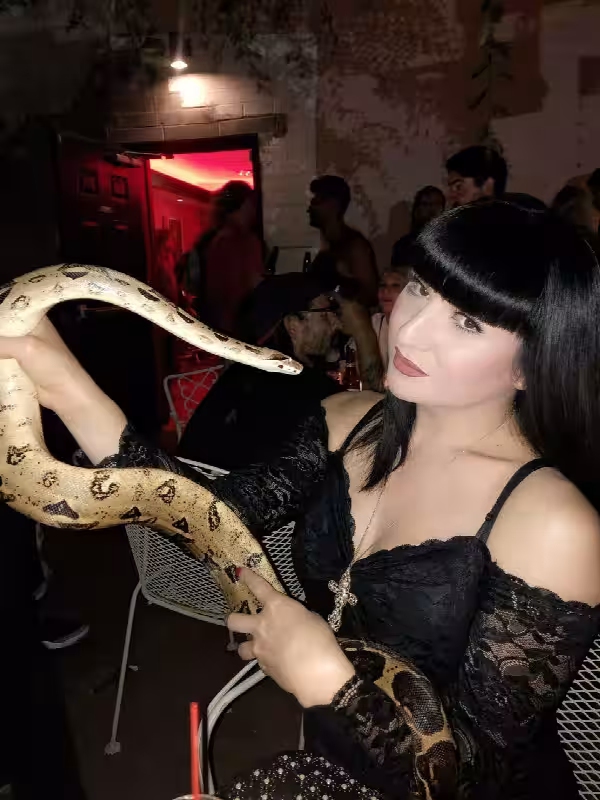 Escort/S&M TS Mistress Cleopatra in Phoenix, AZ