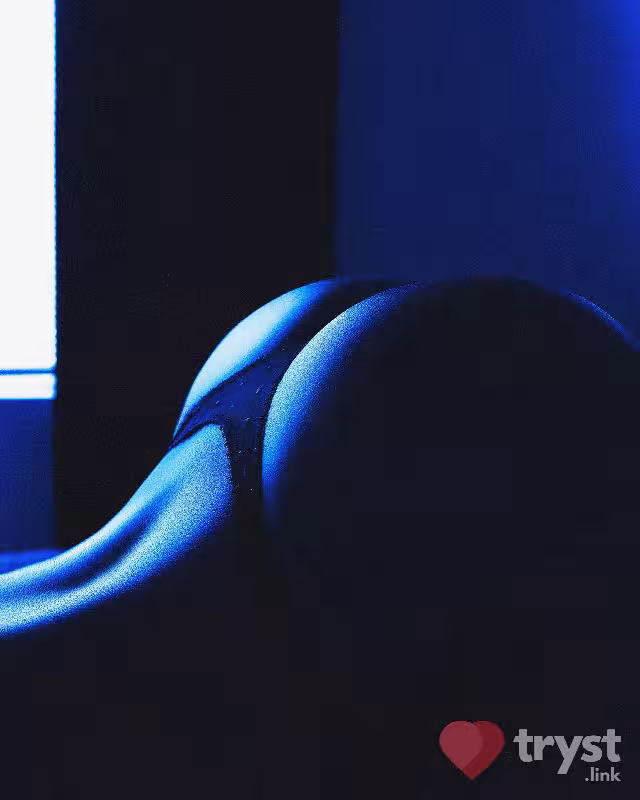 Escort/Massage/S&M Lauren Banks in San Francisco, CA