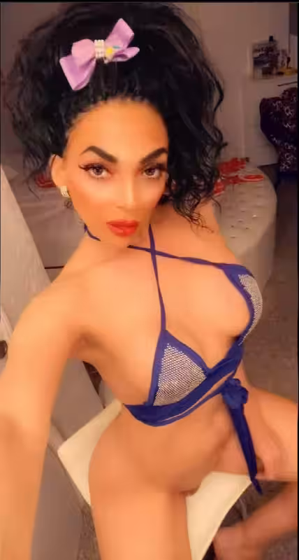 Escort/Massage/S&M TS Sandra in Tampa, FL
