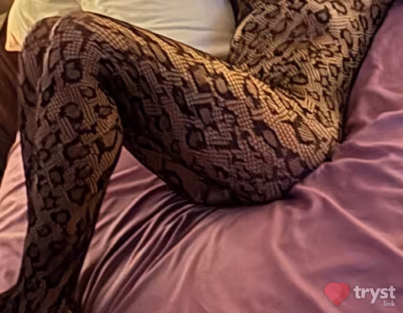 Escort/Massage Mini in Toledo, OH