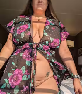 companion Kristal Kitty in Tysons Corner, VA